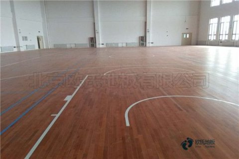 籃球館楓木運動木地板